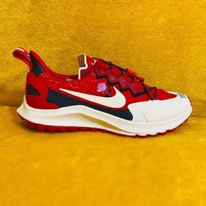 Nike x Gyakusou Zoom Pegasus CD0383-600